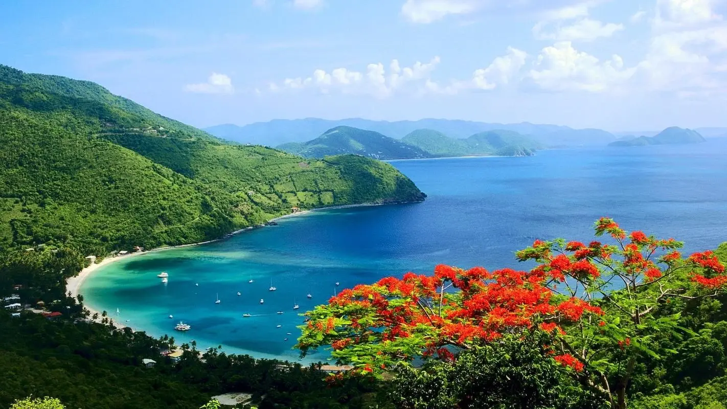创意稳定性