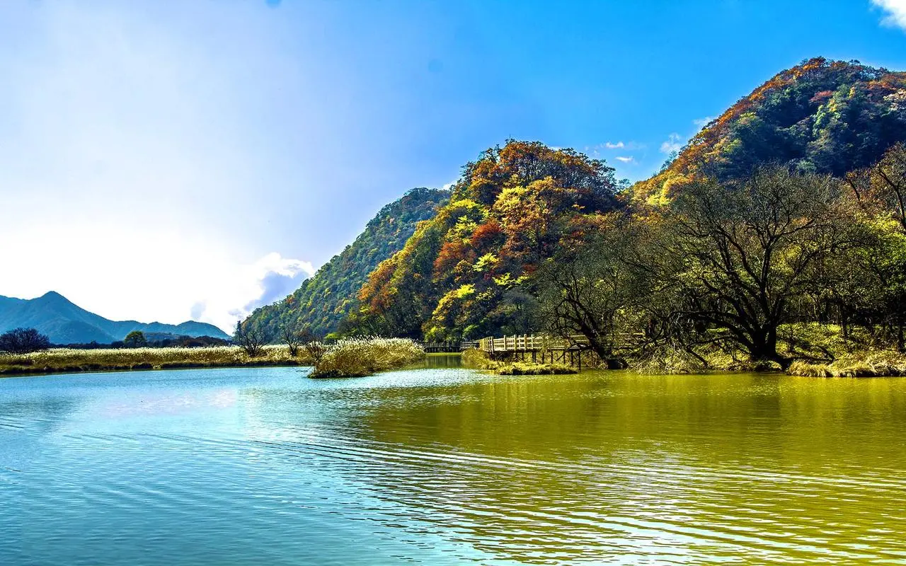 高端智能